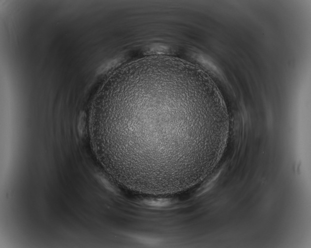 X0000087670361200705041014