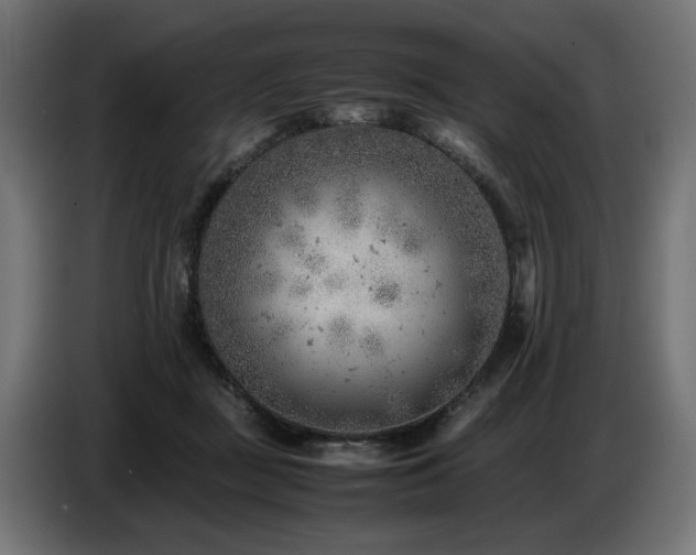 X0000087670363200705041014