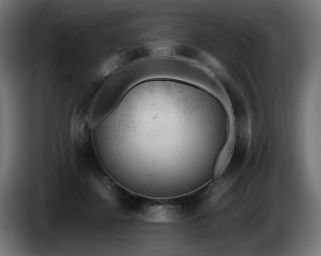 X0000087670364200705041014