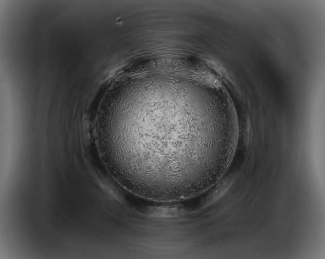 X0000087670366200705041014