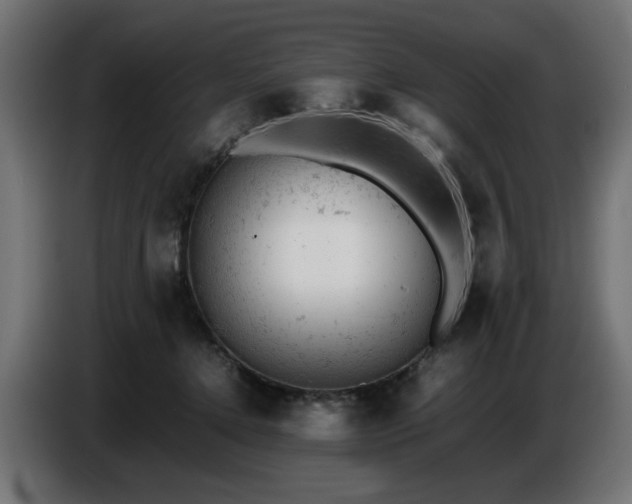 X0000087670368200705041014