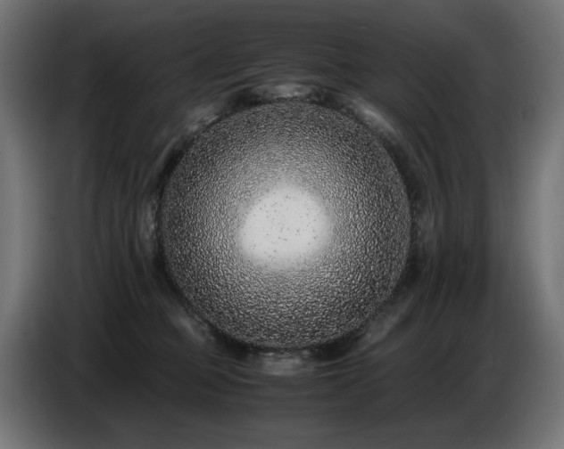 X0000087670373200705041015