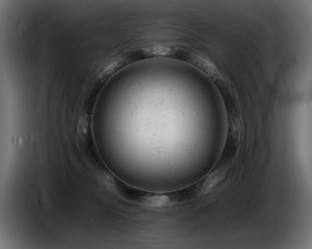 X0000087670374200705041015