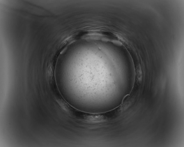 X0000087670375200705041015