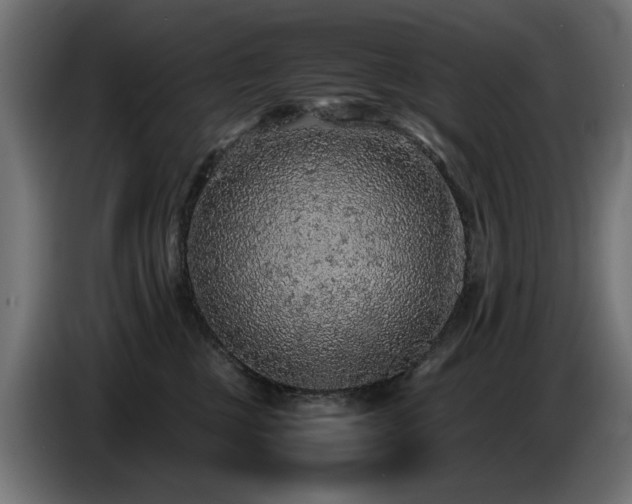 X0000087670377200705041015