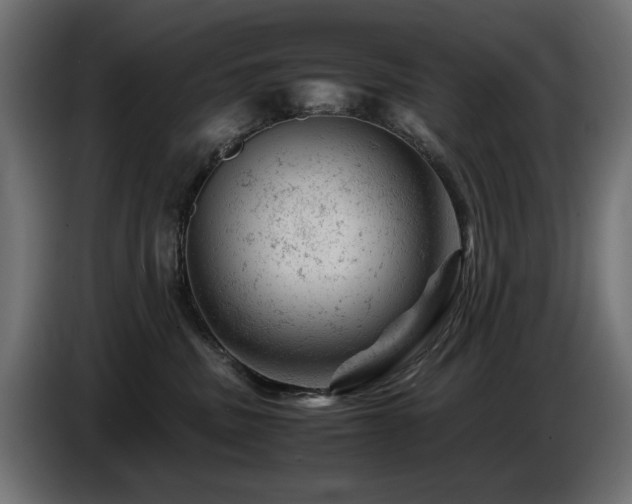 X0000087670379200705041015