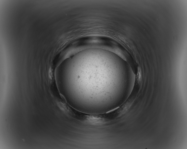 X0000087670380200705041015