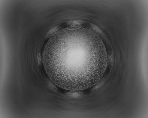 X0000087670381200705041015