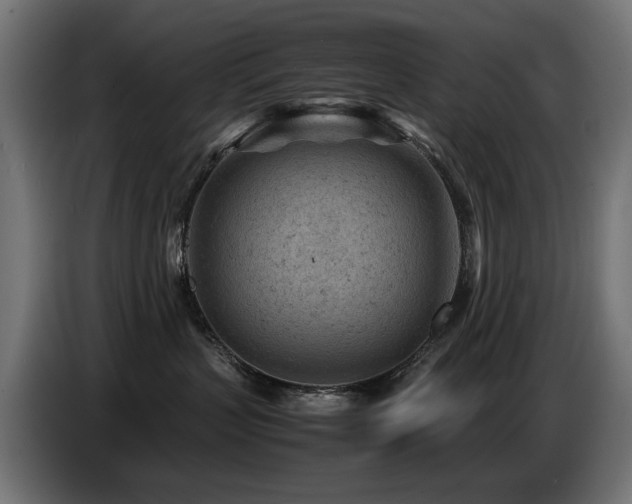 X0000087670383200705041015