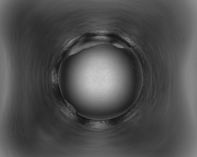 X0000087670384200705041015