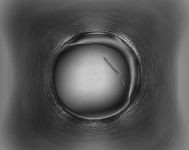 X0000087670385200705041014