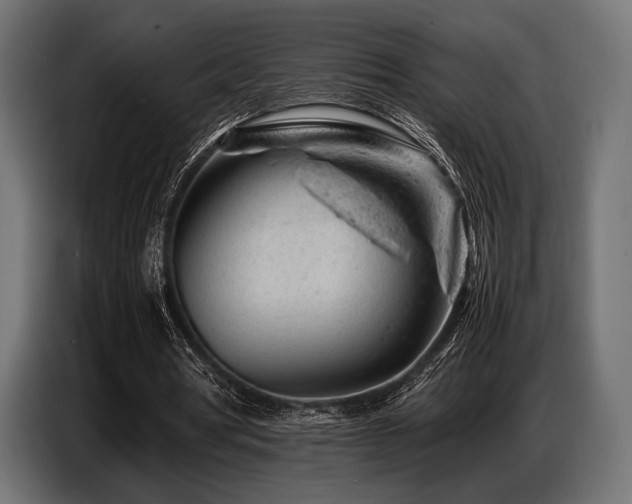 X0000087670386200705041014