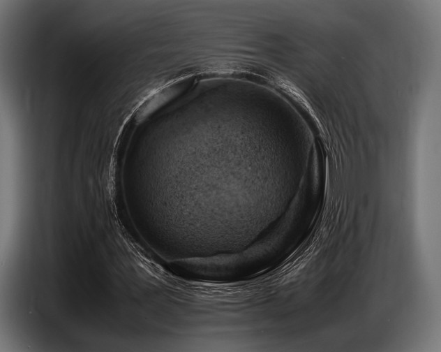 X0000087670387200705041014