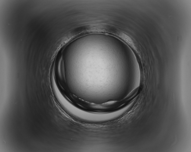 X0000087670389200705041014