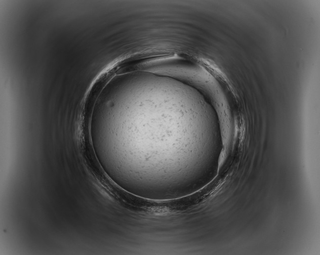 X0000087670392200705041014