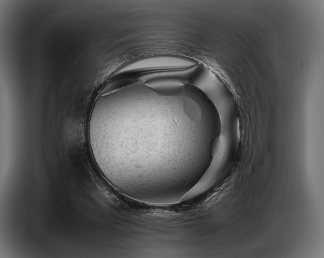 X0000087670393200705041014