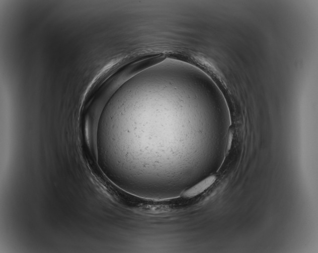 X0000087670395200705041014