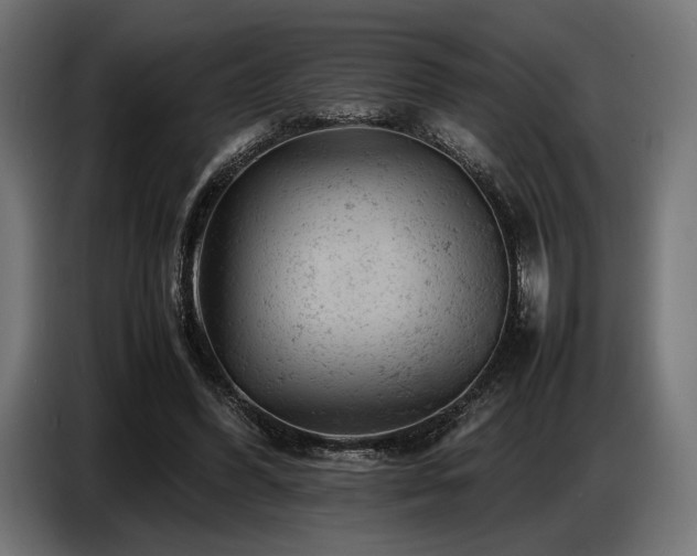 X0000087670396200705041014