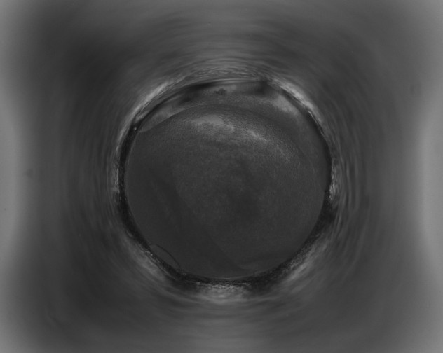 X0000087670399200705041014