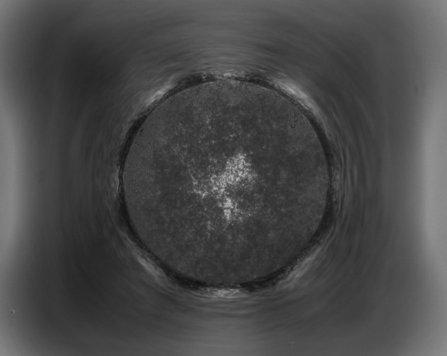 X0000087670401200705041014