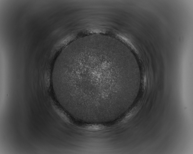 X0000087670402200705041014