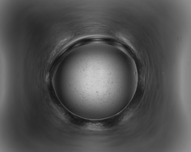 X0000087670403200705041014