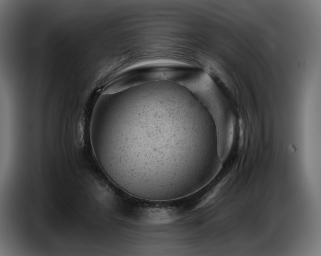 X0000087670404200705041014