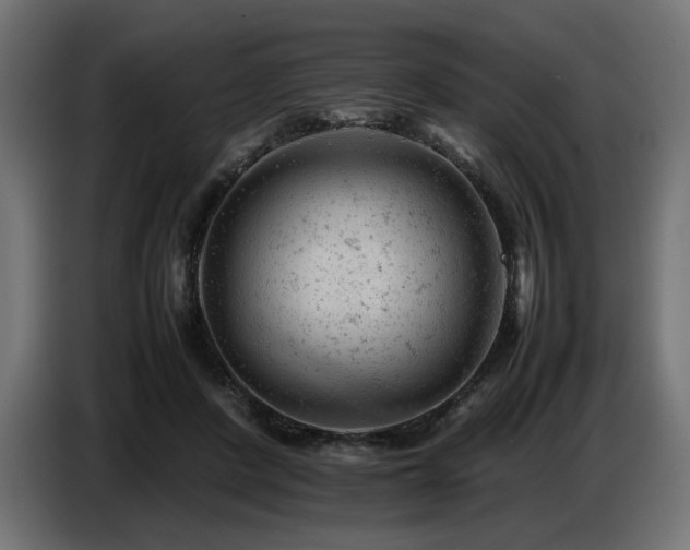 X0000087670408200705041014