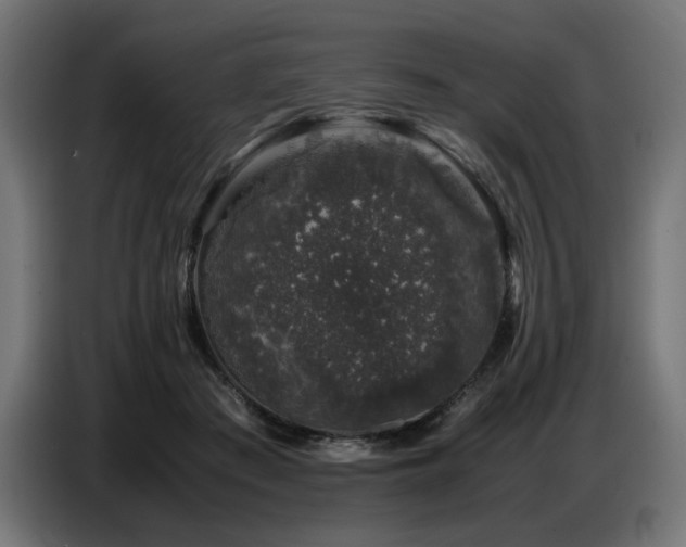 X0000087670409200705041014