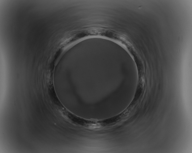 X0000087670411200705041014