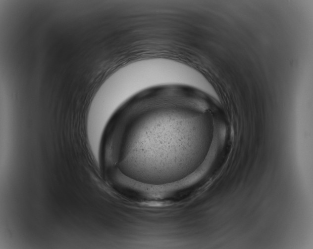 X0000087670412200705041014