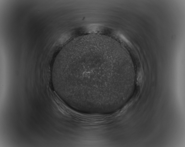 X0000087670413200705041014