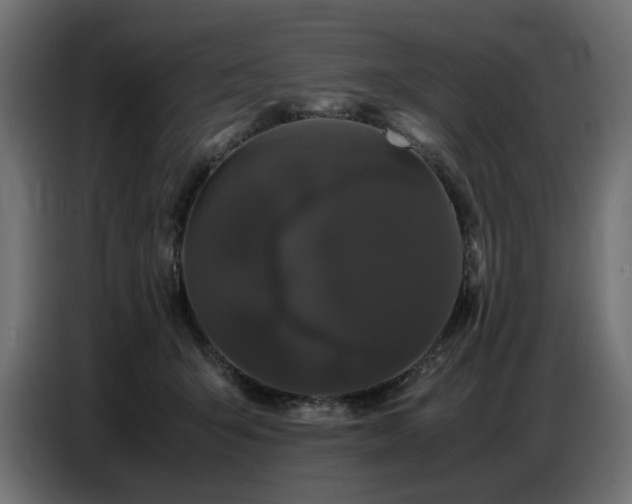 X0000087670415200705041014