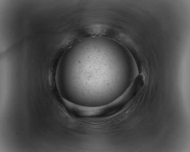 X0000087670416200705041014