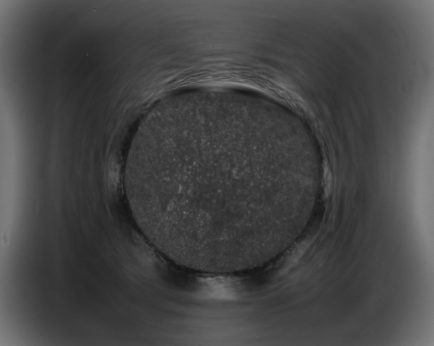 X0000087670417200705041014