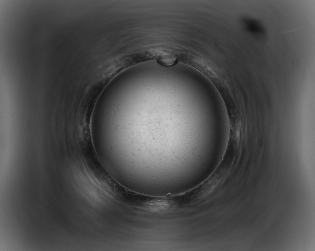 X0000087670418200705041014