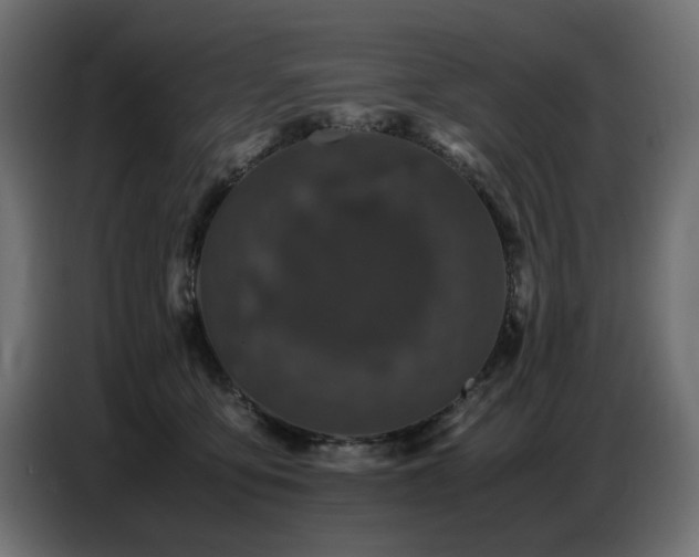 X0000087670419200705041014