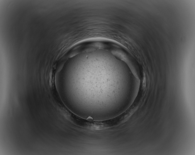 X0000087670420200705041014