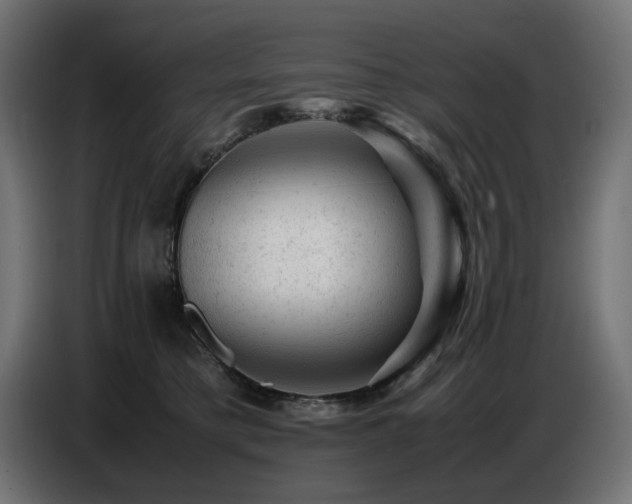 X0000087670421200705041014