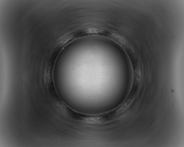 X0000087670422200705041014