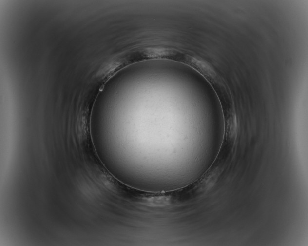 X0000087670426200705041014