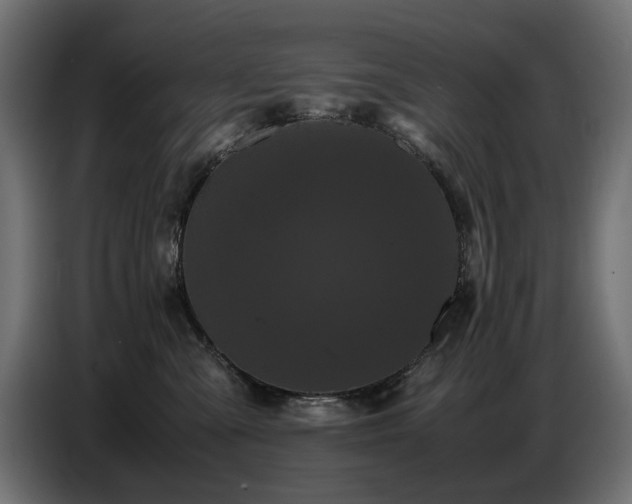 X0000087670427200705041014