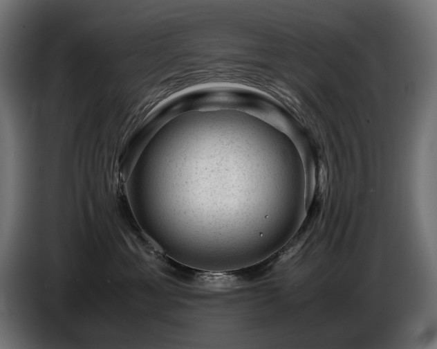 X0000087670429200705041014