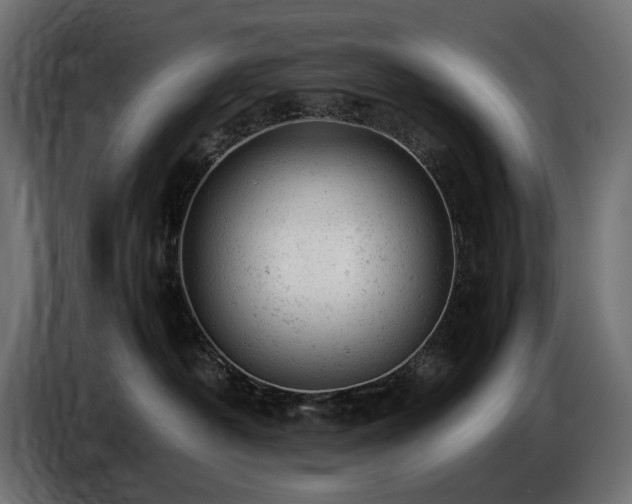 X0000087670430200705041014