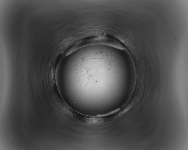 X0000087670432200705041014