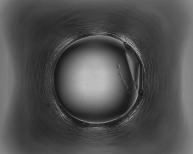 X0000087670433200705041013