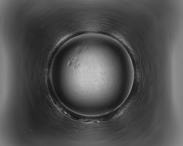 X0000087670434200705041013