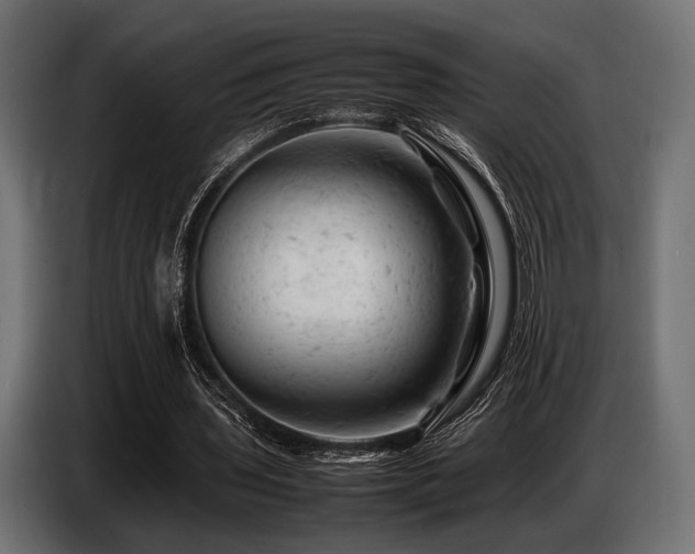 X0000087670435200705041013