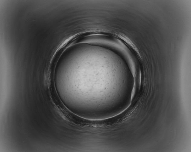 X0000087670436200705041013