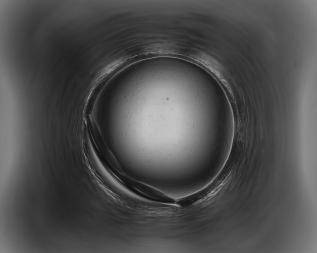 X0000087670437200705041013